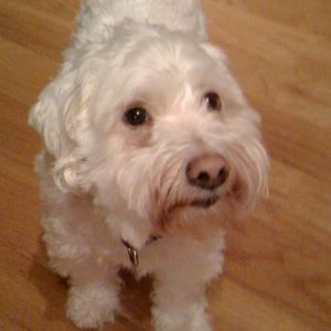 Meet your Posher, Jaime